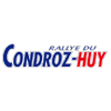Decals and markings / Rally Cars / Condroz: New products Decals and markings / Rally Cars / Condroz: New products image
