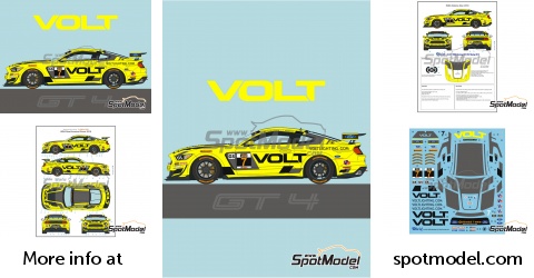 Blue Stuff 24-021: Marking / livery 1/24 scale - Ford Mustang GT4 PF Racing  Team sponsored by Recstuff #41 - Jeff Courtney (US) + Fred Roberts (CA) -  IMSA Michelin Pilot Challenge 2019 - for Tamiya reference TAM24354 (ref.  24-021)