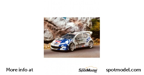 Miniature Provence Moulage 1/43 - Peugeot 206 WRC Tour De Corse 1999 N°14 (montée)