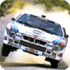 Rally Cars image