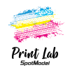 Print Lab Decals logo