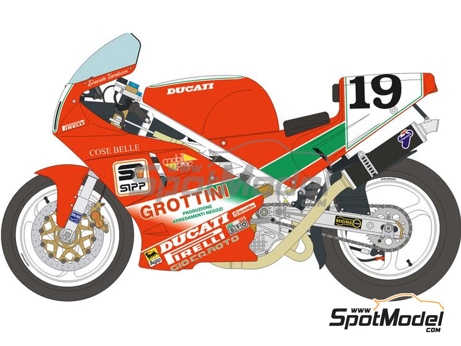 Image 6: Ducati 888 sponsored by Grottini - Superbike World Championship 1991 | Marking / livery in 1/12 scale manufactured by Blue Stuff (ref. 12-049)
