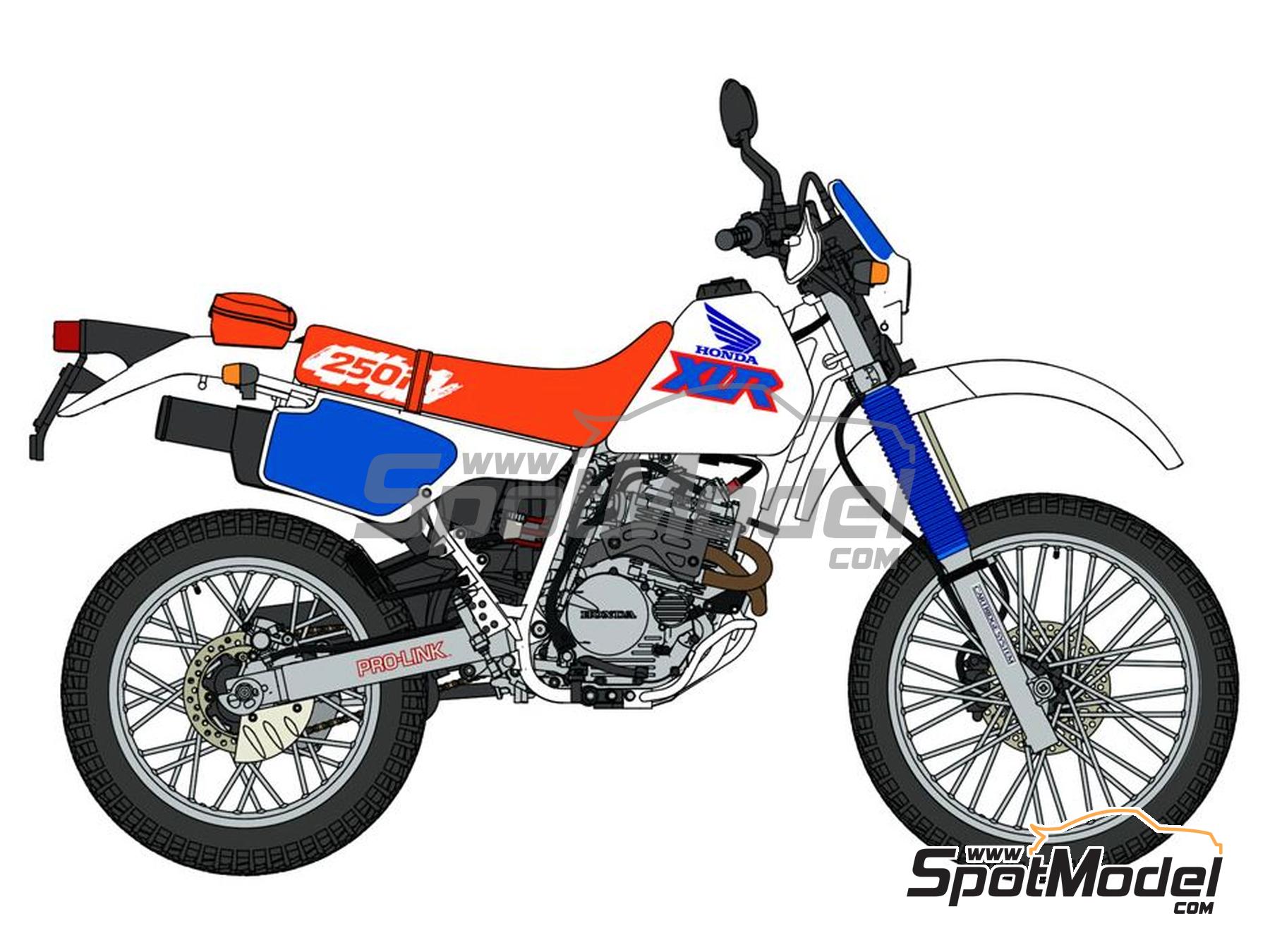 専用ホビー Hasegawa 21518: Motorbike scale model kit 1/12 scale - Honda