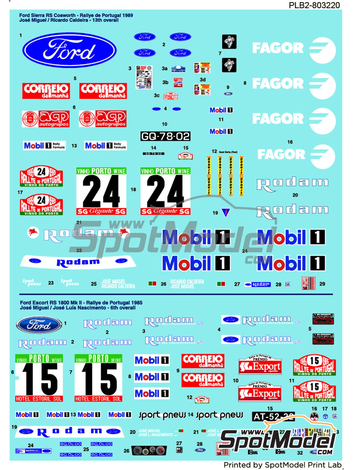 12 DECAL 1/43 FORD ESCORT RS 1800 MKII M WILSON RAC R 1980 DnF 