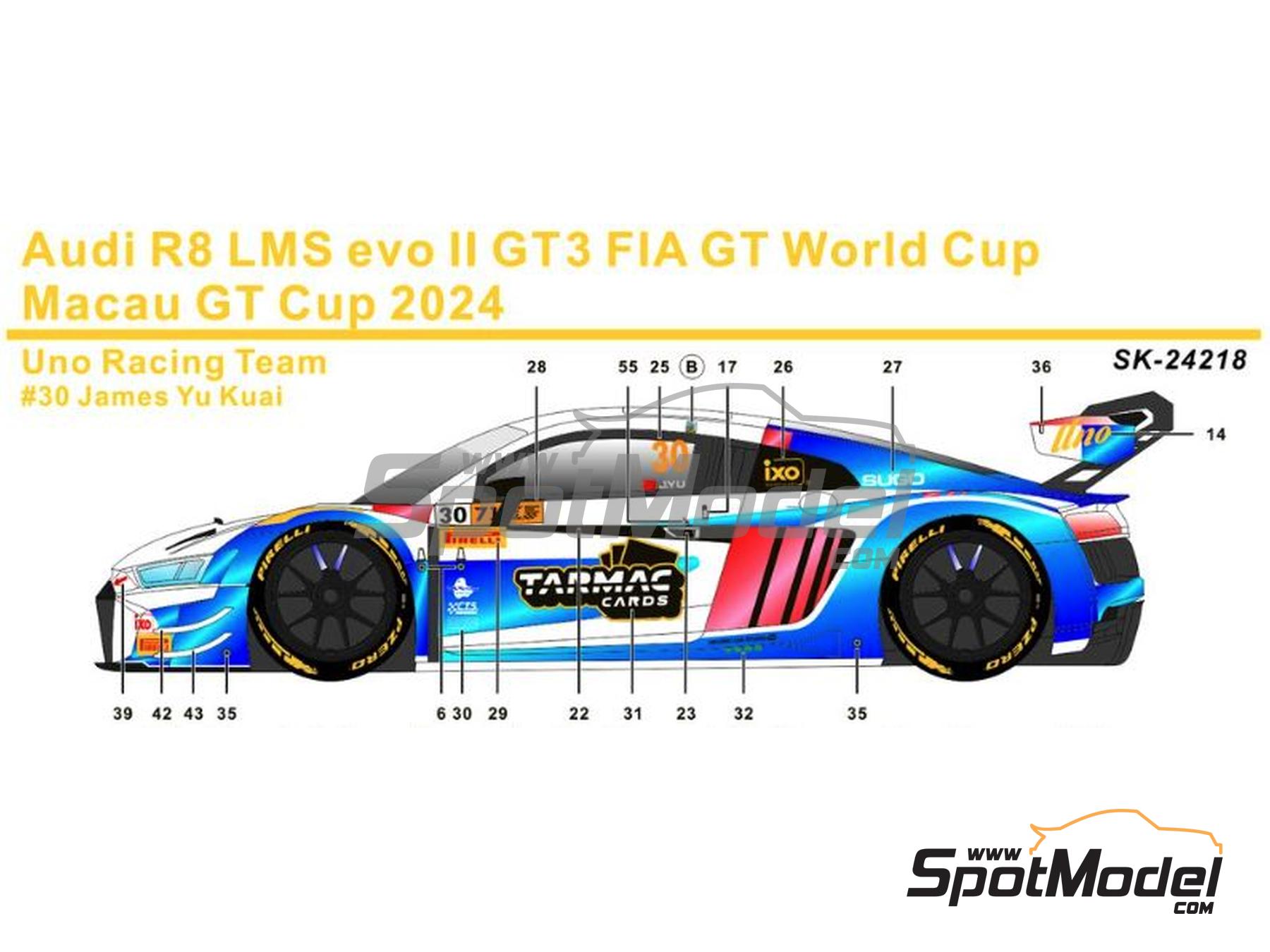 SK Decals SK-24218: Marking livery 1/24 scale Audi R8 LMS Evo