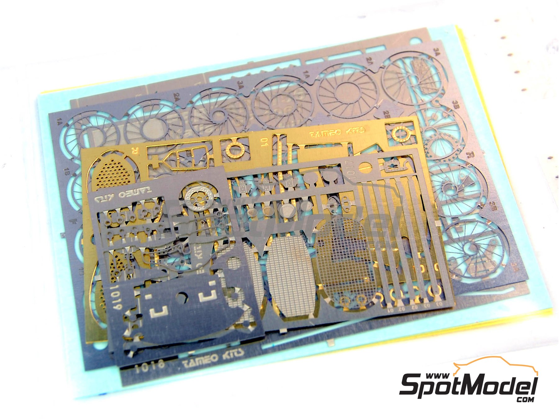 Image 8: Ferrari 156 F1 Shark Nose - Italian Formula 1 Grand Prix 1961 | Car scale model kit in 1/43 scale manufactured by Tameo Kits (ref. WCT061)