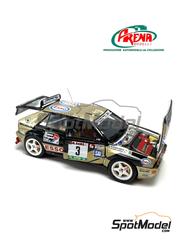 Arena Modelli: Car scale model kit 1/43 scale - Lancia Super Delta HF Integrale Grifone Team sponsored by Esso #3 - Piero Longhi (IT) + Maurizio Imerito (IT) - Della Lana Rally 1992 - photo-etched parts, resin parts, rubber parts, water slide decals, white metal parts and assembly instructions