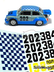 Arena Modelli: Car scale model kit 1/24 scale - Fiat Abarth 1000 TCR #202 - Maurizio Campanini (IT) - Trento Bondone Hill Climb 1970 - metal parts, photo-etched parts, resin parts, water slide decals and white metal parts