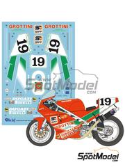 Blue Stuff: Marking / livery 1/12 scale - Ducati 888 sponsored by Grottini #19 - Davide Tardozzi (IT) - Superbike World Championship 1991 - water slide decals and assembly instructions - for Tamiya reference TAM14063