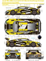 SK Decals: Decoracin escala 1/24 - Audi R8 LMS GT3 Evo Equipo WRT patrocinado por Skechers N 46 - Valentino Rossi (IT) + Frederic Vervisch (BE) + Nico Mller (CH) - GT World Challenge Europe 2022 - calcas de agua y manual de instrucciones - para las referencias de Nunu PN24026 y NU24026