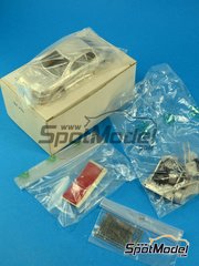SpotModel: Car scale model kit 1/43 scale - Racing43 - Mitsubishi Lancer Evo III image