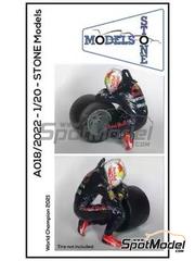 Stone Models: Figure 1/20 scale - Max Verstappen - Figure 2 - 3D printed parts, water slide decals, other materials and placement instructions - 1 units
